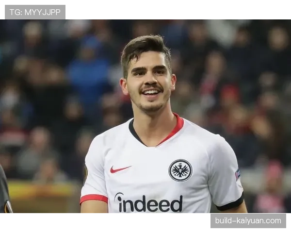 B费的职业轨迹：数据爆炸背后的争议与能力断点